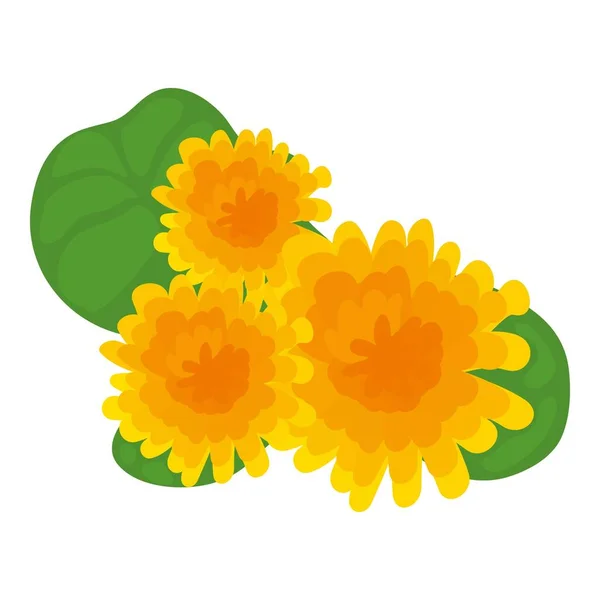 Pissenlit Icône Fleur Vecteur Isométrique Fleur Pissenlit Jaune Vif Avec — Image vectorielle