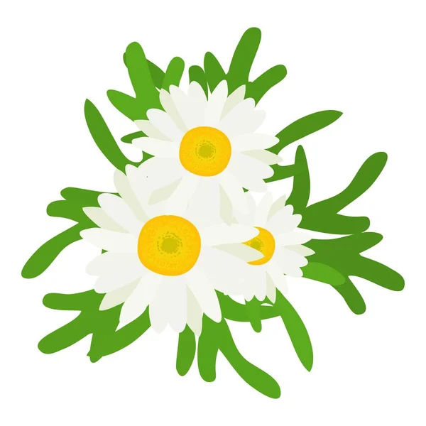 Chamomile Flower Icon Isometric Vector Bright Chamomile Flower Green Leaf — Stock Vector