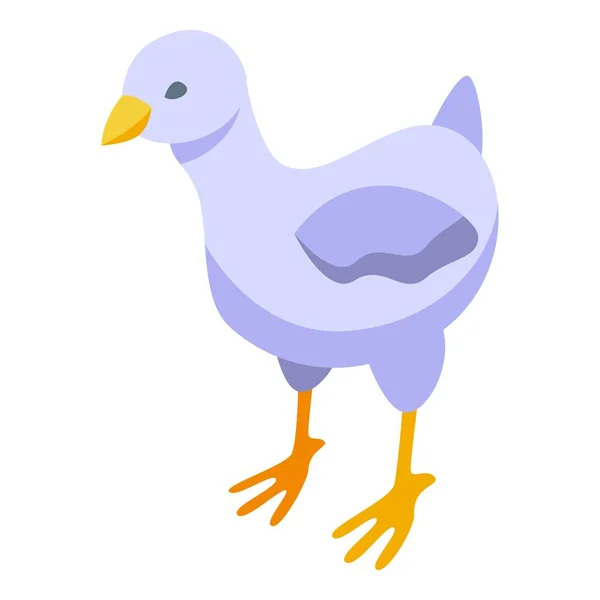 Εικονίδιο Κοτόπουλου Ισομετρικό Διάνυσμα Αυγοπούλι Μικρή Εκμετάλλευση — Διανυσματικό Αρχείο