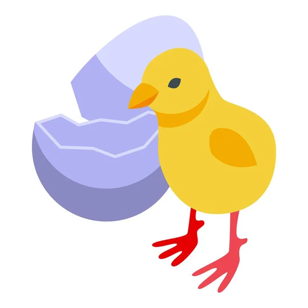 Ikona Ikony Kurczaka Wektor Izometryczny Jajeczko Gospodarstwo Wielkanocne — Wektor stockowy