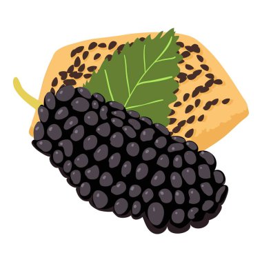 Dut tatlısı ikonu izometrik vektörü. Tohum ikonlu siyah dut ve kurabiye. Tatlı, kahvaltı, yemek konsepti.
