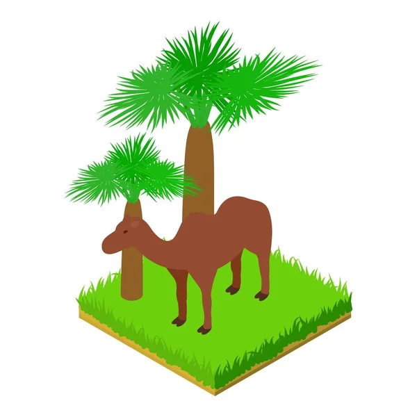 Camel Animal Icono Vector Isométrico Camello Árabe Pie Icono Hierba — Vector de stock