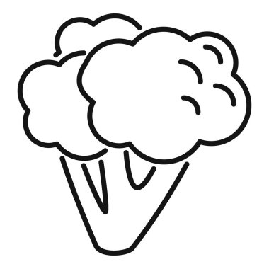 Tatlı brokoli ikonu ana hatları vektörü. Brokoli lahanası. Bitki salatası