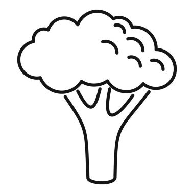 Bir brokoli ikonu ana hat vektörü. Sebze lahanası. Bitki salatası