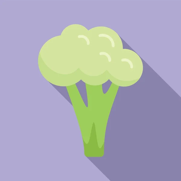 花椰菜图标扁平载体 西兰花食品 蔬菜植物 — 图库矢量图片