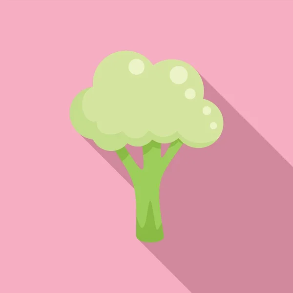 Εικονίδιο Brocolli Επίπεδη Διάνυσμα Λάχανο Φυτά Σαλάτας — Διανυσματικό Αρχείο