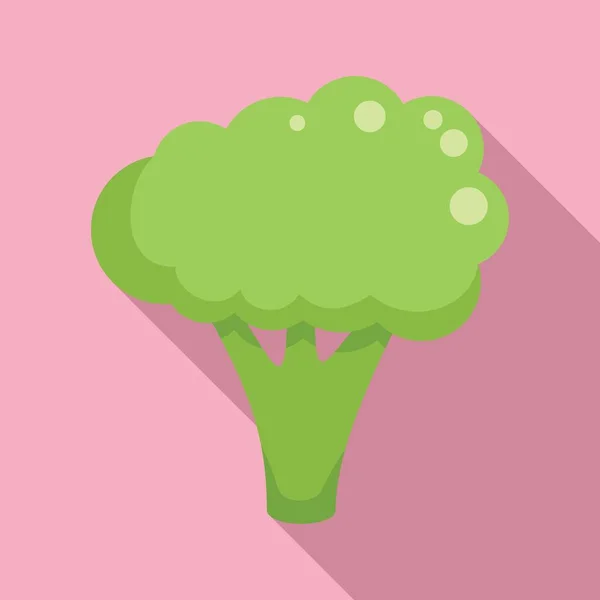 可爱的花椰菜图标扁平矢量 蔬菜卷心菜甜沙拉 — 图库矢量图片