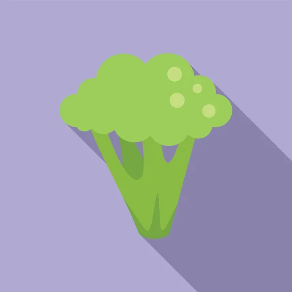 Diyet Brokoli Ikonu Düz Vektörü Lahana Brokoli Bitki Salatası — Stok Vektör