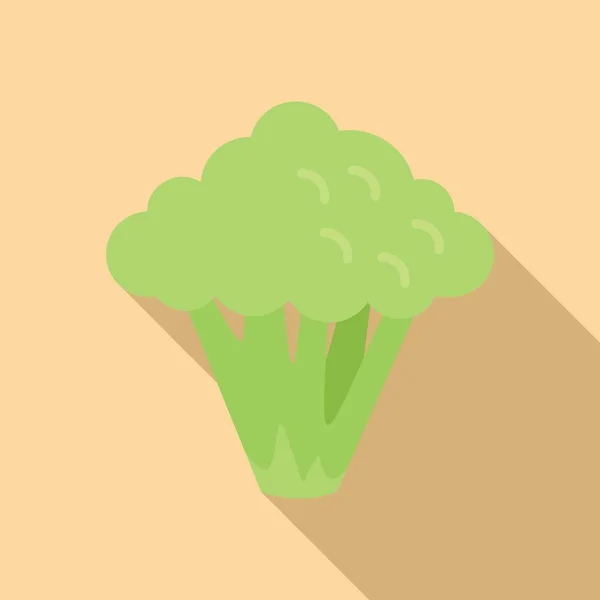 Vetor Plano Ícone Brócolis Saudável Brócolos Vegetais Salada Vegetal —  Vetores de Stock