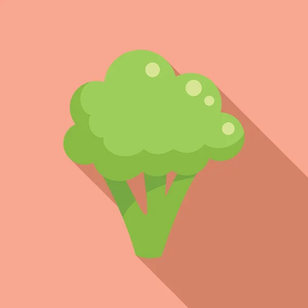 维生素花椰菜图标扁平载体 西兰花卷心菜沙律植物 — 图库矢量图片