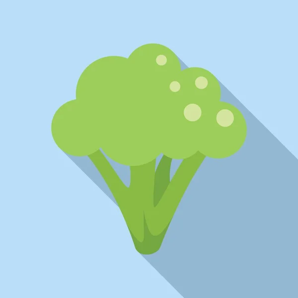 Diyet Taze Brokoli Ikonu Düz Vektörü Brokoli Lahanası Yiyecek Sebze — Stok Vektör