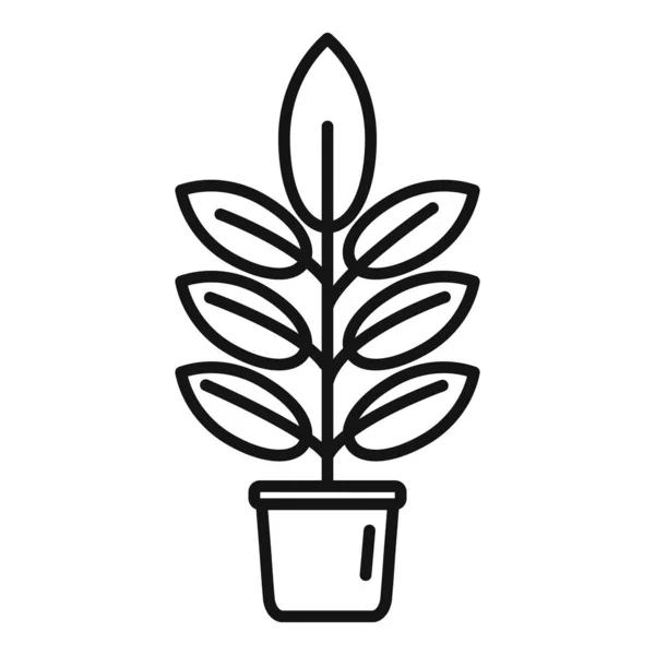 Закрытый Вектор Контура Цветочного Растения Домашний Листовидный Чехол — стоковый вектор