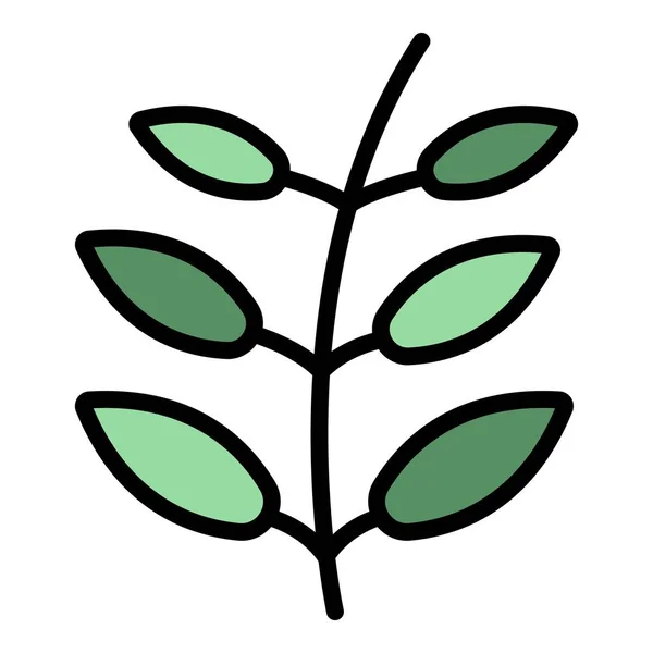 Lencse Növény Ikonja Vázlat Lencse Növényi Vektor Ikon Web Design — Stock Vector