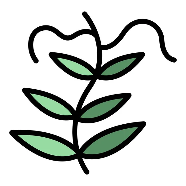 レンタルガーデン植物のアイコン 概要白い背景色のフラット上に分離されたWebデザインのためのレンズガーデン植物ベクトルアイコン — ストックベクタ