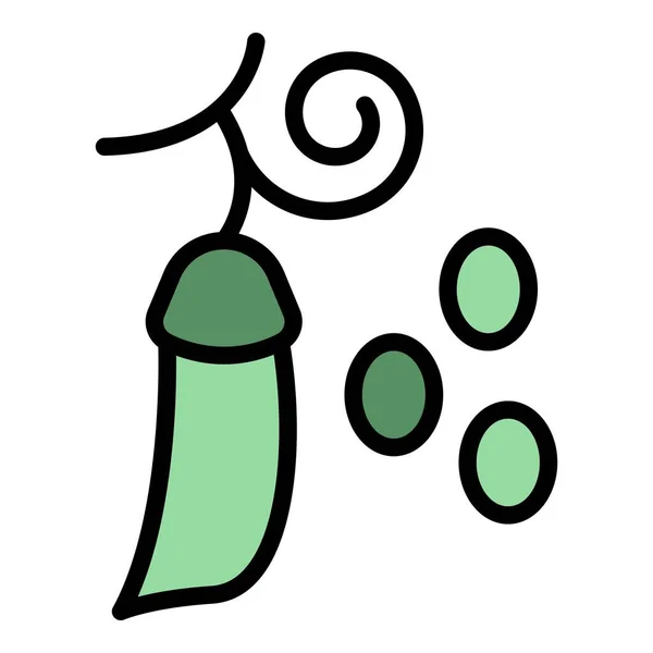 Lentil Branch Peas Icon Lentil 브랜치 Peas Vector Icon Web — 스톡 벡터