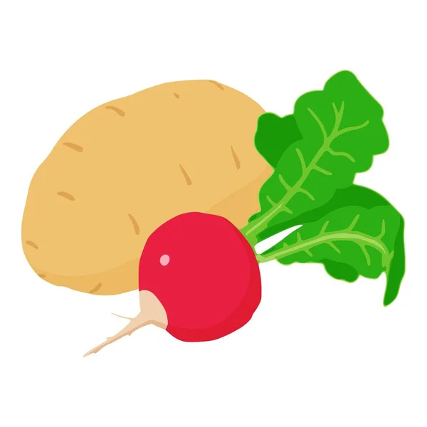 天然食物图标等量向量 萝卜附近新鲜收获的有机土豆 食物概念 健康营养 — 图库矢量图片