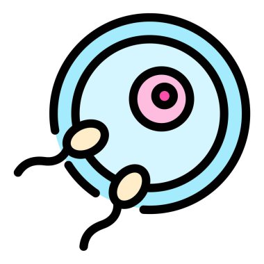 İnsan üreme ikonu ana hatları vektörü. Üreme sistemi. Embriyo anatomisi rengi düz