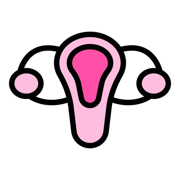Vecteur Contour Utérin Féminin Ovaire Femme Couleur Système Reproducteur Plat — Image vectorielle