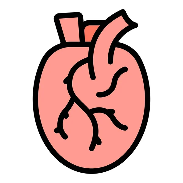 Umrissvektor Des Menschlichen Herzens Medizinisches Organ Anatomie Körperfarbe Flach — Stockvektor