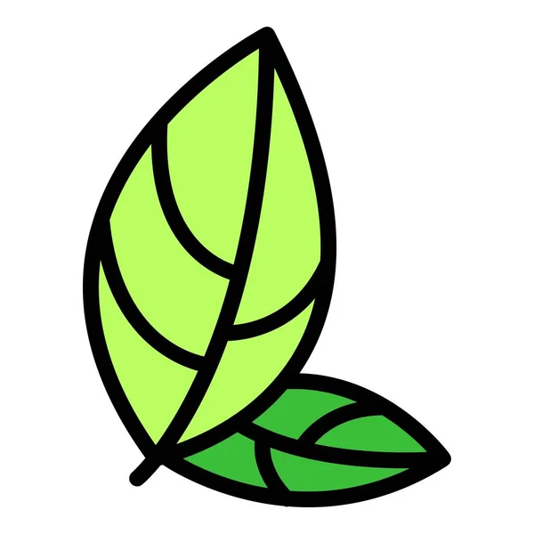 Pfefferminzsymbol Umrissvektor Pflanzennahrung Gewürzbistro Farbe Flach — Stockvektor