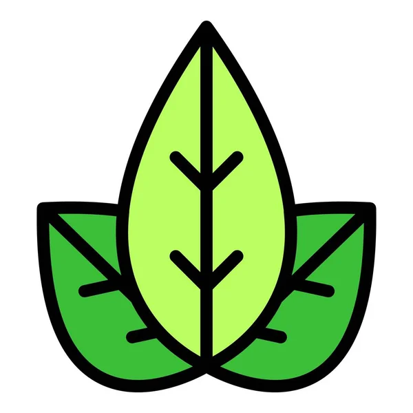 Oregano Leaf Icon Outline Vector Herb Plant Garden Food Color — Stock Vector
