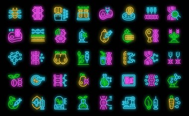 Tarım simgelerindeki genetik modifikasyon ana hatları belirledi. Yemek mısırı. Sağlık çiftliği siyah üzerine neon rengi