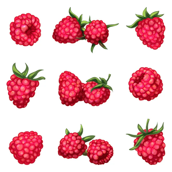Ikon Raspberry Mengatur Vektor Kartun Makanan Manis Selai Buah - Stok Vektor