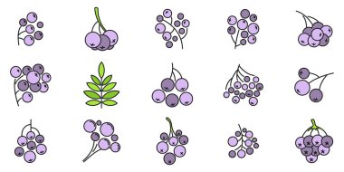 Rowan park simgeleri ayarlandı. Rowan park vektör simgelerinin özet kümesi beyaz üzerinde ince çizgi rengi düz