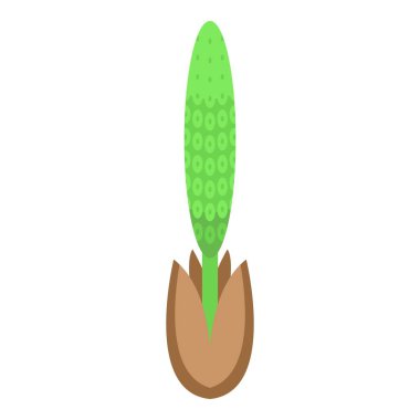 Canavar tahılları ikon izometrik vektör oluşturur. Yeni bitki örtüsü. Yaprak yayı