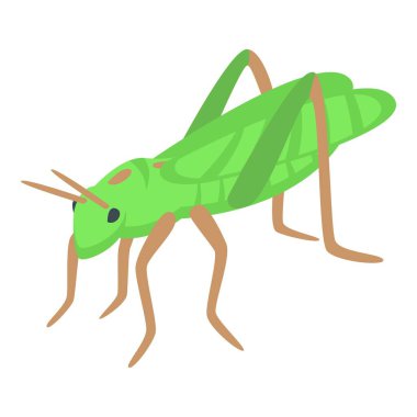 Küçük çekirge ikonu izometrik vektörü. Yeşillik yaratık. Uçan karınca rengi