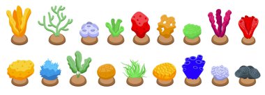 Sünger yosun bitkisi ikonları izometrik vektör oluşturdu. Su altı otu. Derin resif bitkisi