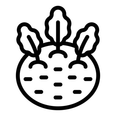 Kohlrabi simgesi ana hat vektörü. Şalgam lahanası. Çıtır çıtır taze sebze