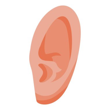 Beyaz arka planda insan kulak anatomisinin detaylı bir temsili, izole ve basit bir tasarım, tıbbi, sağlık ve eğitim amaçlı mükemmel.