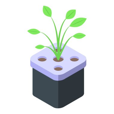 Modern çevre dostu tarımda sürdürülebilir topraksız tarım sistemini tasvir eden vektör grafik teknolojili Isome hidrofonik bitki çizimi