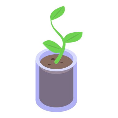 Bir saksıda filizlenen bir bitkinin, büyümeyi ve yeni başlangıçları simgeleyen bir grafiği.
