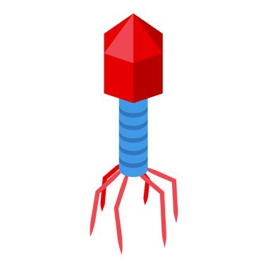 Bakteriyofaj virüsü enfeksiyon için kuyruk lifleriyle bakterilere saldırıyor