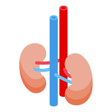 Kan filtreleme ve idrar üretimini temsil eden, arterler ve damarlar birbirine bağlanmış, insan böbreklerini tasvir eden bir resim.