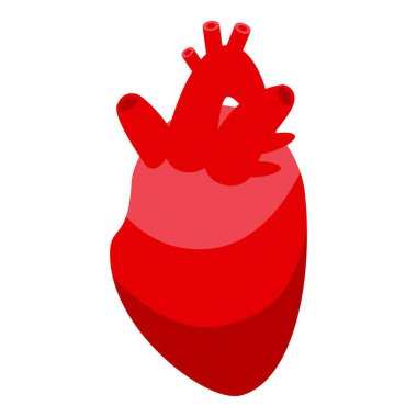 İnsan kalbinin gerçekçi bir tasviri, odalarını, vanalarını ve kan damarlarını vurguluyor.