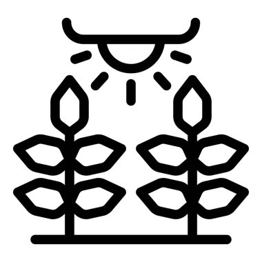 Kapalı alan çiftliği kurşunlu lambadan çıkan yapay ışık ile hidrofonik kullanılarak.