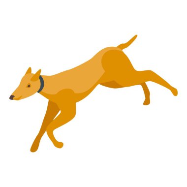 Av köpeği hızlı koşuyor, izometrik görüş
