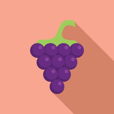 Meyvenin yetişme mevsimini uzun bir gölgeyle temsil eden bir demet üzüm.