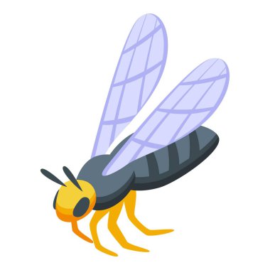 Büyük sıtma sivrisineği, sarı başlı ve şeffaf kanatlarıyla uçmaya hazırlanıyor.