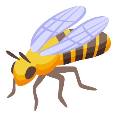 Parlak sarı ve siyah bal arısı yerden kalkmaya hazırlanıyor.