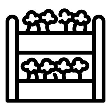 Sera raf sistemi organik brokoli bitkileri, modern tarım ikonu yetiştiriyor.