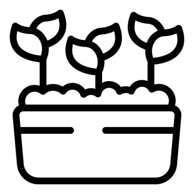 Üç genç bitki bir kabın içindeki saksı toprağından yetişiyor.