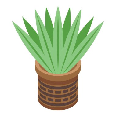 Uzun yapraklı yeşil bitki kil saksı izometrik görüşünde büyüyor.