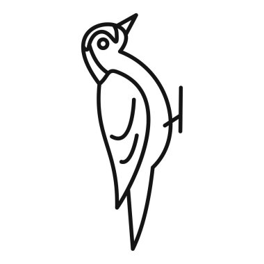 Ağaçkakan kuş gagalama ağaç ana hatları simgesi, doğrusal olarak dizayn edilmiş