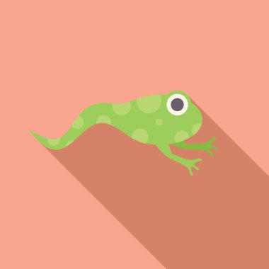 Yeşil kurbağa kuyruğuyla yüzüyor, düz dizayn tarzında, uzun gölgeli.