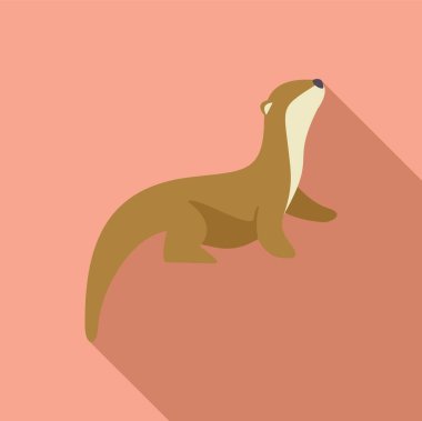 Meraklı su samuru yukarı bakıyor, arkasında uzun bir gölge var.