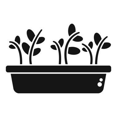 Hidrofonik tepside büyüyen mikro yeşilliklerin basit vektör simgesi